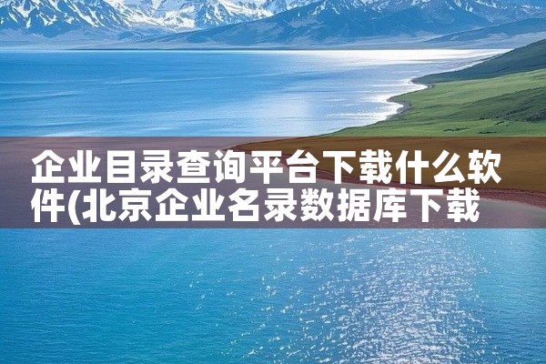 企业目录查询平台下载什么软件