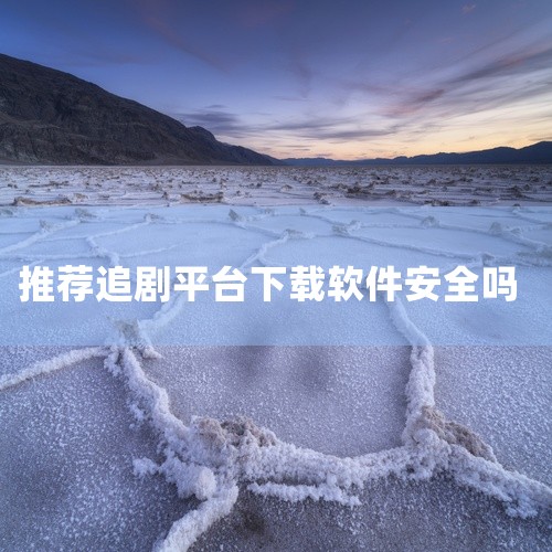 网飞猫追剧app存在安全风险。网飞猫追剧app作为一个提供剧集观看的应用程序，其安全性是用户非常关心的问题。然而，根据多方反馈和安全专家的评估，这款app在使用过程中确实存在一定的安全风险。首先，从数,