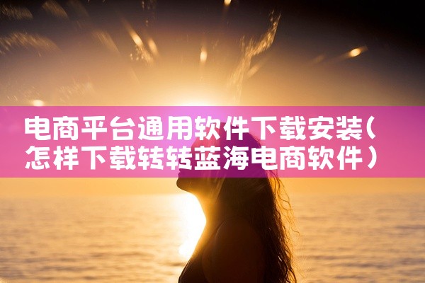 电商平台通用软件下载安装